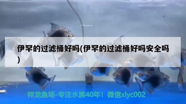 伊罕的過濾桶好嗎(伊罕的過濾桶好嗎安全嗎) 伊罕的過濾桶好嗎(伊罕的過濾桶好嗎安全嗎) 伊罕水族