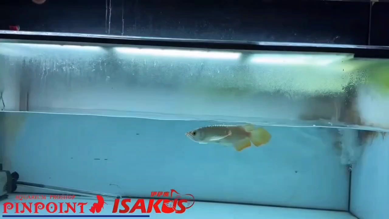 非常好的一只潛力股，未來可期。