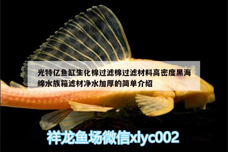 光特億魚缸生化棉過濾棉過濾材料高密度黑海綿水族箱濾材凈水加厚的簡單介紹 光特億魚缸生化棉過濾棉過濾材料高密度黑海綿水族箱濾材凈水加厚的簡單介紹 光特億