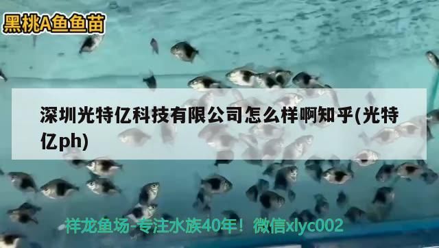 深圳光特億科技有限公司怎么樣啊知乎(光特億ph)