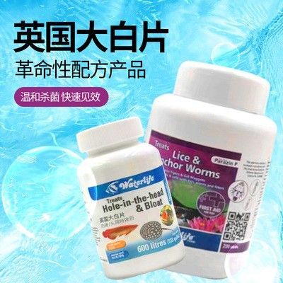 龍魚放大白片可以喂食嗎 龍魚百科 第1張 龍魚放大白片可以喂食嗎 龍魚放大白片可以喂食嗎 龍魚百科 第1張