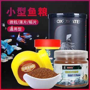 元寶鳳凰價格:元寶鳳凰在不同場景下的價格 元寶鳳凰魚百科 第1張 元寶鳳凰價格:元寶鳳凰在不同場景下的價格 元寶鳳凰價格:元寶鳳凰在不同場景下的價格 元寶鳳凰魚百科 第1張