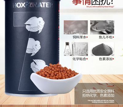 元寶鳳凰價格:元寶鳳凰在不同場景下的價格 元寶鳳凰魚百科 第2張 元寶鳳凰價格:元寶鳳凰在不同場景下的價格 元寶鳳凰價格:元寶鳳凰在不同場景下的價格 元寶鳳凰魚百科 第2張
