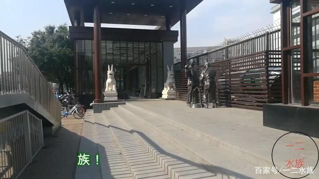水族館特色服務(wù)提升客流（上海海洋水族館主題活動(dòng)策劃指南,水族館營銷策略）