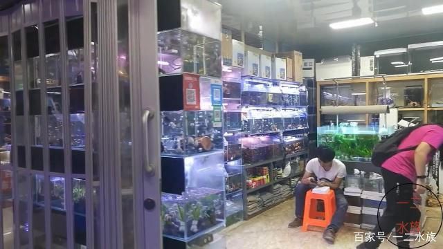 水族館特色服務(wù)提升客流（上海海洋水族館主題活動(dòng)策劃指南,水族館營銷策略）