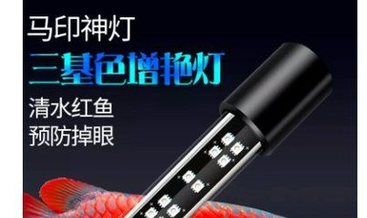 馬印燈怎么區分真假:如何區分馬印燈的真假 馬印水族 第2張 馬印燈怎么區分真假:如何區分馬印燈的真假 馬印燈怎么區分真假:如何區分馬印燈的真假 馬印水族 第2張