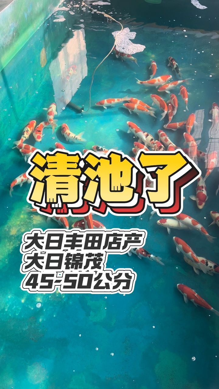 清池了，你要嗎