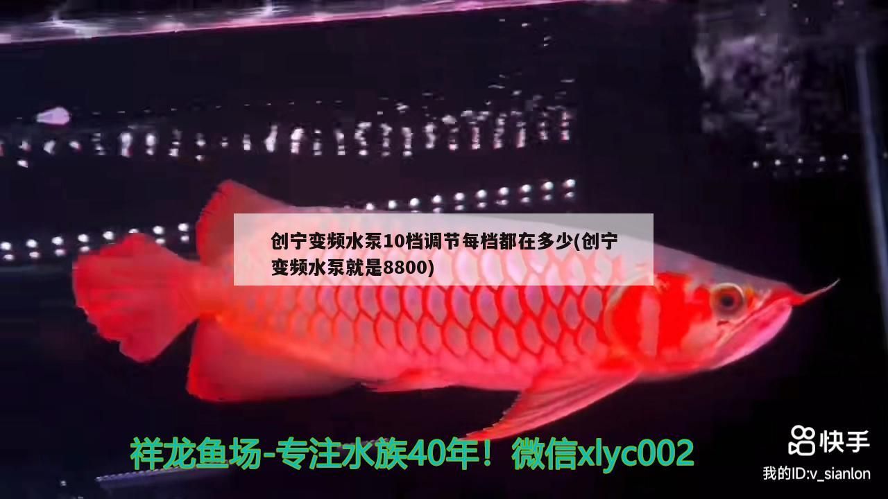 創(chuàng)寧變頻水泵10檔調(diào)節(jié)每檔都在多少(創(chuàng)寧變頻水泵就是8800)