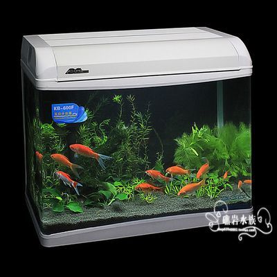 ada的魚缸為什么貴:ada魚缸為什么這么貴? 魚缸百科 第4張 ada的魚缸為什么貴:ada魚缸為什么這么貴? ada的魚缸為什么貴:ada魚缸為什么這么貴? 魚缸百科 第4張