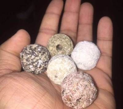 博特和老魚匠的區(qū)別在哪：博特和老魚匠品牌口碑、產(chǎn)品質(zhì)量、價(jià)格因素和用戶體驗(yàn)