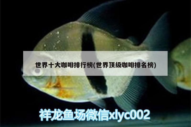 世界十大咖啡排行榜(世界頂級咖啡排名榜)