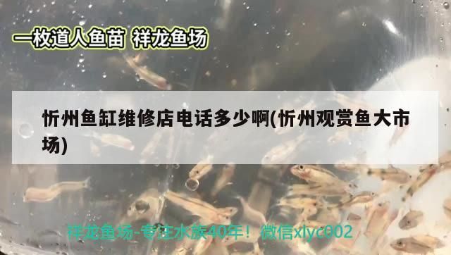 忻州魚缸維修店電話多少啊(忻州觀賞魚大市場) 忻州魚缸維修店電話多少啊(忻州觀賞魚大市場) iwish愛唯希品牌魚缸