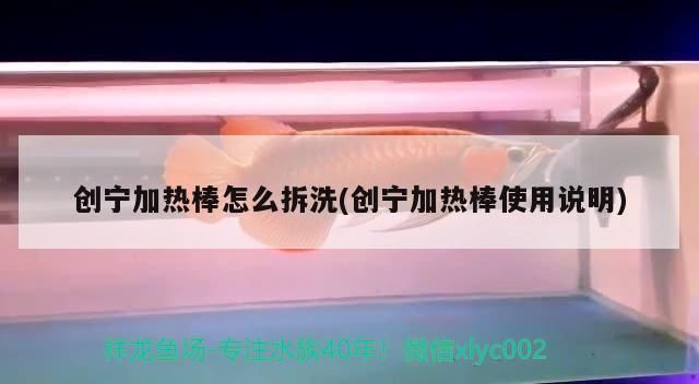 創寧加熱棒怎么拆洗(創寧加熱棒使用說明)