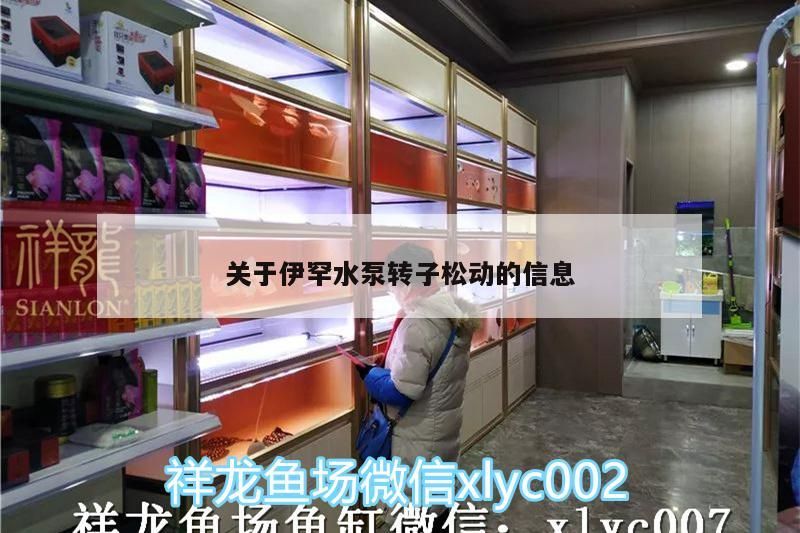 給大魚缸換水的作文:體驗給大魚缸換水的樂趣:體驗給大魚缸換水:給大魚缸換水的作文 關于伊罕水泵轉子松動的信息 伊罕水族 關于伊罕水泵轉子松動的信息 關于伊罕水泵轉子松動的信息 伊罕水族