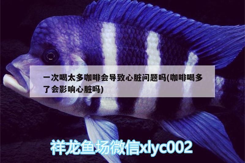 一次喝太多咖啡會導致心臟問題嗎(咖啡喝多了會影響心臟嗎)
