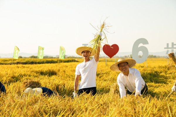 虎皮和金魚混養(yǎng)（小虎皮魚可以和金魚混養(yǎng)嗎） 虎皮和金魚混養(yǎng)（小虎皮魚可以和金魚混養(yǎng)嗎） 可麗愛魚缸