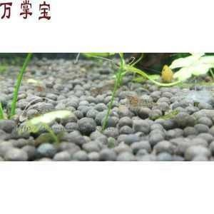 龍魚多少度水溫合適冬眠 龍魚多少度水溫合適冬眠 龍魚百科 第1張