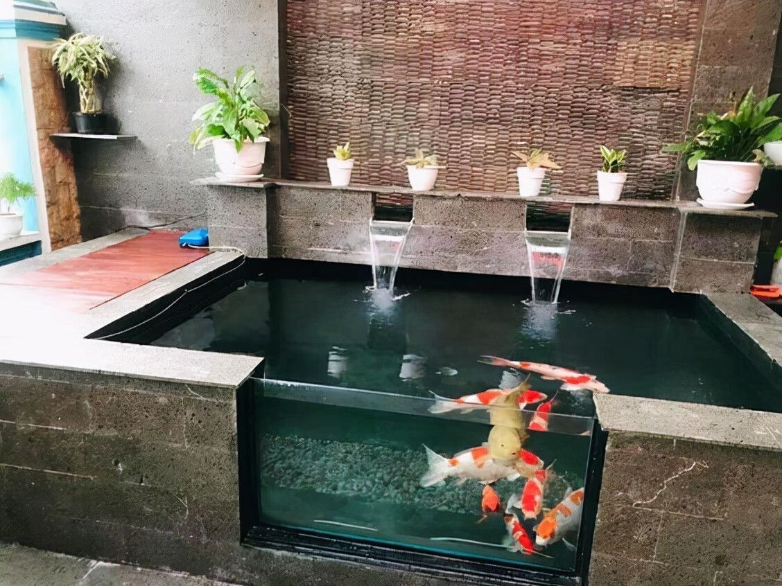 后院魚池位置風水（家庭庭院設計中的風水原則） 后院魚池位置風水（家庭庭院設計中的風水原則） 錦鯉魚百科 第1張