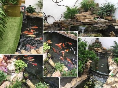 后院魚池位置風水（家庭庭院設計中的風水原則） 后院魚池位置風水（家庭庭院設計中的風水原則） 錦鯉魚百科 第2張