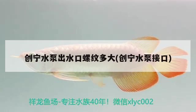 創寧水泵出水口螺紋多大(創寧水泵接口) 創寧水族 第2張 創寧水泵出水口螺紋多大(創寧水泵接口) 創寧水泵出水口螺紋多大(創寧水泵接口) 創寧水族 第2張