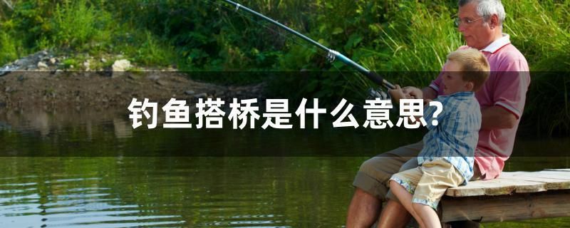 龍魚干蝦有營養嗎 釣魚搭橋是什么意思? 速倍妥魚糧魚藥 釣魚搭橋是什么意思? 釣魚搭橋是什么意思? 速倍妥魚糧魚藥