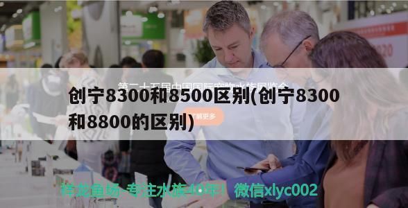 創寧8300和8500區別(創寧8300和8800的區別) 創寧8300和8500區別(創寧8300和8800的區別) 創寧水族