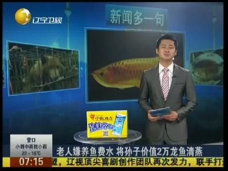 1米高的魚缸怎么造景視頻教學：1米高的魚缸造景教程
