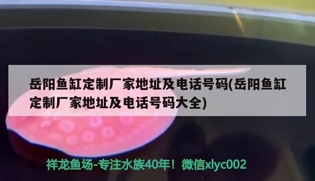 岳陽魚缸定制廠家地址及電話號碼(岳陽魚缸定制廠家地址及電話號碼大全) 岳陽魚缸定制廠家地址及電話號碼(岳陽魚缸定制廠家地址及電話號碼大全) 可麗愛魚缸