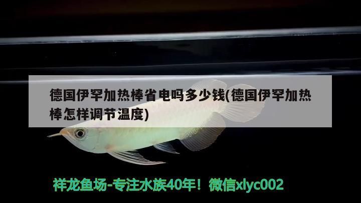 魚缸過濾器選購指南:自制魚缸過濾器魚缸上置過濾器對于養魚愛好者的必備知識 德國伊罕加熱棒省電嗎多少錢(德國伊罕加熱棒怎樣調節溫度) 伊罕水族 德國伊罕加熱棒省電嗎多少錢(德國伊罕加熱棒怎樣調節溫度) 德國伊罕加熱棒省電嗎多少錢(德國伊罕加熱棒怎樣調節溫度) 伊罕水族