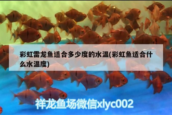延吉哪里賣魚缸的多一點(diǎn)?。椙f新城必吃的十大館子）