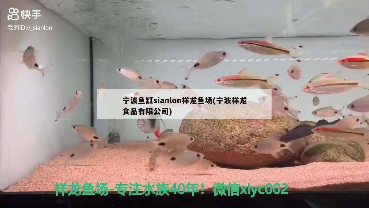 寧波魚缸sianlon祥龍魚場(寧波祥龍食品有限公司)
