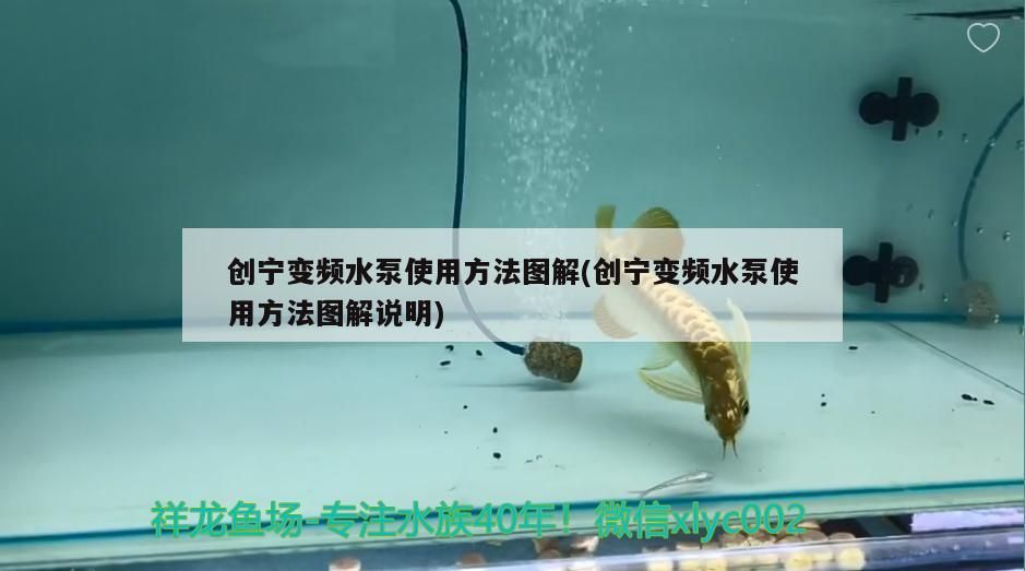 創(chuàng)寧變頻水泵使用方法圖解(創(chuàng)寧變頻水泵使用方法圖解說明) 創(chuàng)寧變頻水泵使用方法圖解(創(chuàng)寧變頻水泵使用方法圖解說明) 創(chuàng)寧水族