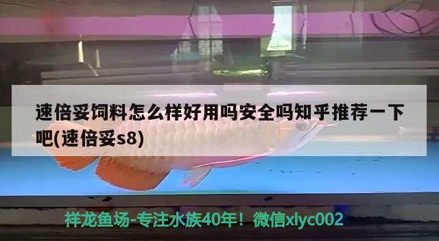 給大魚缸換水的作文:體驗給大魚缸換水的樂趣:體驗給大魚缸換水:給大魚缸換水的作文 速倍妥飼料怎么樣好用嗎安全嗎知乎推薦一下吧(速倍妥s8) 速倍妥 速倍妥飼料怎么樣好用嗎安全嗎知乎推薦一下吧(速倍妥s8) 速倍妥飼料怎么樣好用嗎安全嗎知乎推薦一下吧(速倍妥s8) 速倍妥