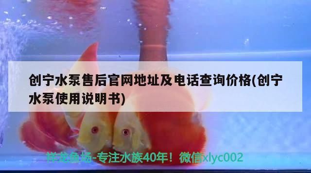 創寧水泵售后官網地址及電話查詢價格(創寧水泵使用說明書)