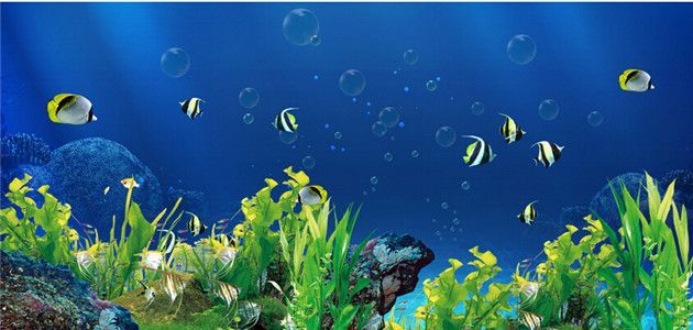 魚缸背景圖用什么最旺最聚財，魚缸背景圖如何選擇？