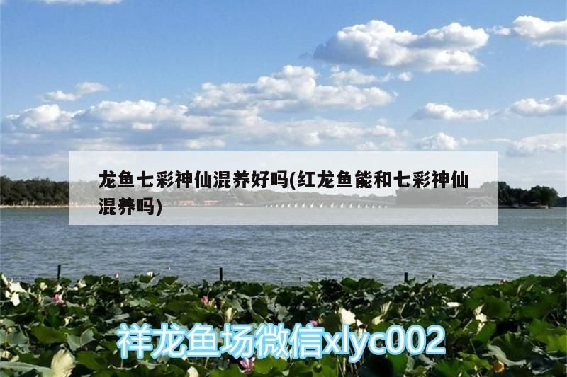 泉州市洛江區萬安繪世釣具店
