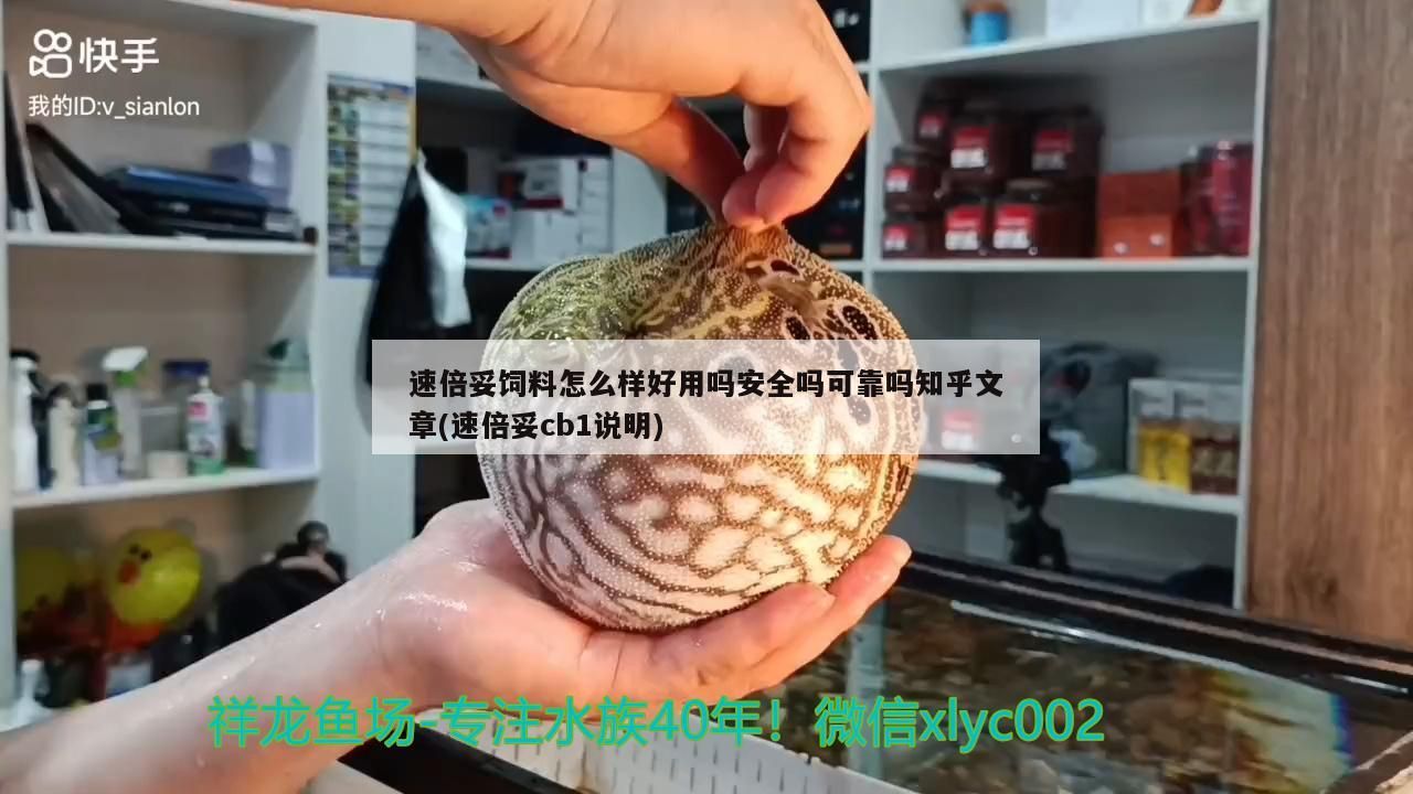 龍魚 速倍妥飼料怎么樣好用嗎安全嗎可靠嗎知乎文章(速倍妥cb1說明) 速倍妥 速倍妥飼料怎么樣好用嗎安全嗎可靠嗎知乎文章(速倍妥cb1說明) 速倍妥飼料怎么樣好用嗎安全嗎可靠嗎知乎文章(速倍妥cb1說明) 速倍妥