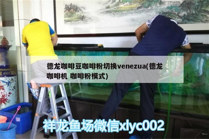 給大魚缸換水的作文:體驗給大魚缸換水的樂趣:體驗給大魚缸換水:給大魚缸換水的作文 德龍咖啡豆咖啡粉切換venezua(德龍咖啡機咖啡粉模式) 馬來西亞咖啡 德龍咖啡豆咖啡粉切換venezua(德龍咖啡機咖啡粉模式) 德龍咖啡豆咖啡粉切換venezua(德龍咖啡機咖啡粉模式) 馬來西亞咖啡