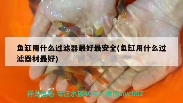 農村河里常見的6種河魚 農村河里常見的6種河魚 農村河里常見的6種河魚 農村河里常見的6種河魚 九鼎魚缸 第2張