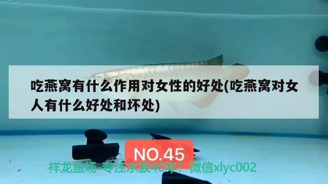 伊罕官方授權店（哪里買伊罕正品） 伊罕官方授權店（哪里買伊罕正品） 伊罕水族 第2張