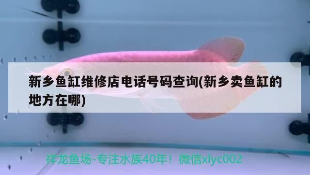 新鄉魚缸維修店電話號碼查詢(新鄉賣魚缸的地方在哪) 新鄉魚缸維修店電話號碼查詢(新鄉賣魚缸的地方在哪) 九鼎魚缸