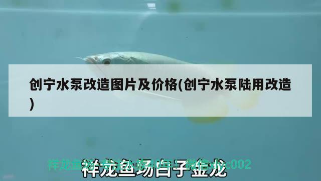 創寧水泵改造圖片及價格(創寧水泵陸用改造)