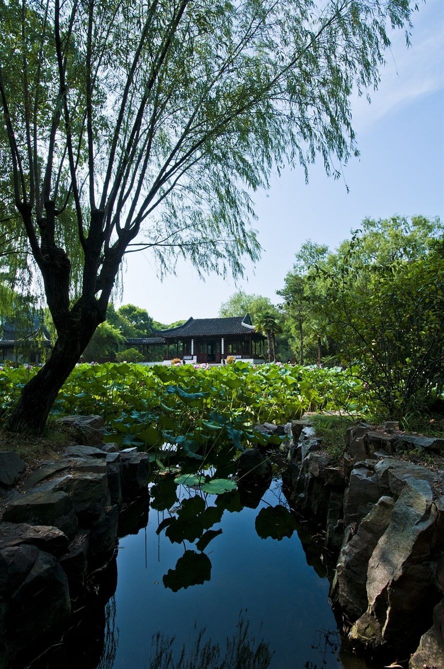 長治觀賞魚養殖基地在哪個位置啊（ 長治哪里有賣魚的地方）
