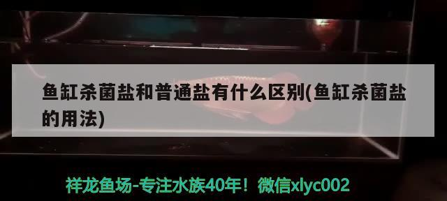 魚缸殺菌鹽和普通鹽有什么區別(魚缸殺菌鹽的用法) 魚缸殺菌鹽和普通鹽有什么區別(魚缸殺菌鹽的用法) 元寶鳳凰魚百科