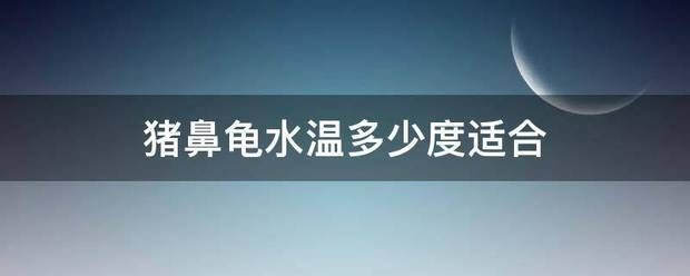 豬鼻龜最佳溫度：豬鼻龜冬眠嗎