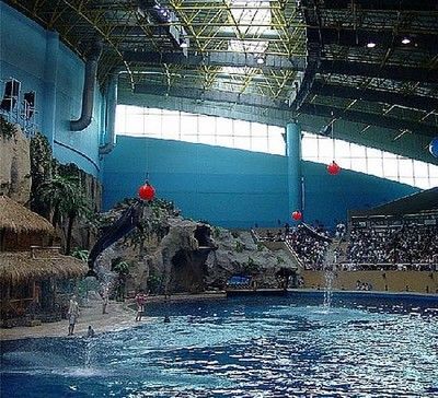 水族館價格表（上海海洋水族館價格表）