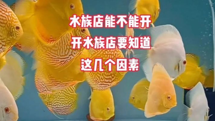 開個水族館怎么樣？：開設一家成功的水族館需要投入大量的資金和精力和精力 開個水族館怎么樣？：開設一家成功的水族館需要投入大量的資金和精力和精力 水族館百科（水族館加盟） 第2張