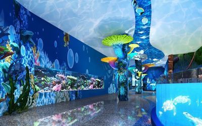 國內水族館推薦（上海海洋水族館親子游玩攻略） 國內水族館推薦（上海海洋水族館親子游玩攻略） 水族館百科（水族館加盟） 第4張