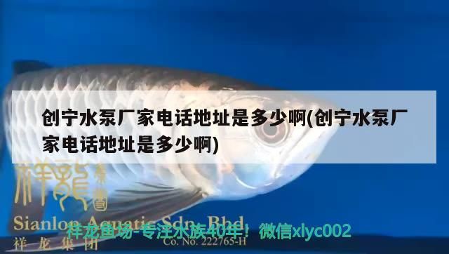 創寧水泵廠家電話地址是多少啊(創寧水泵廠家電話地址是多少啊) 創寧水泵廠家電話地址是多少啊(創寧水泵廠家電話地址是多少啊) 創寧水族