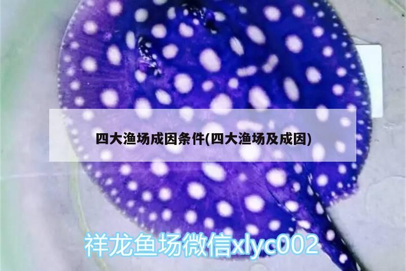 四大漁場成因條件(四大漁場及成因) 四大漁場成因條件(四大漁場及成因) 黃金貓魚百科